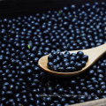 Wholesale Agriculture Products high quality black beans